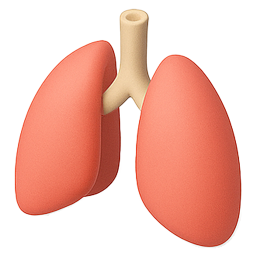 Kinesiología Respiratoria